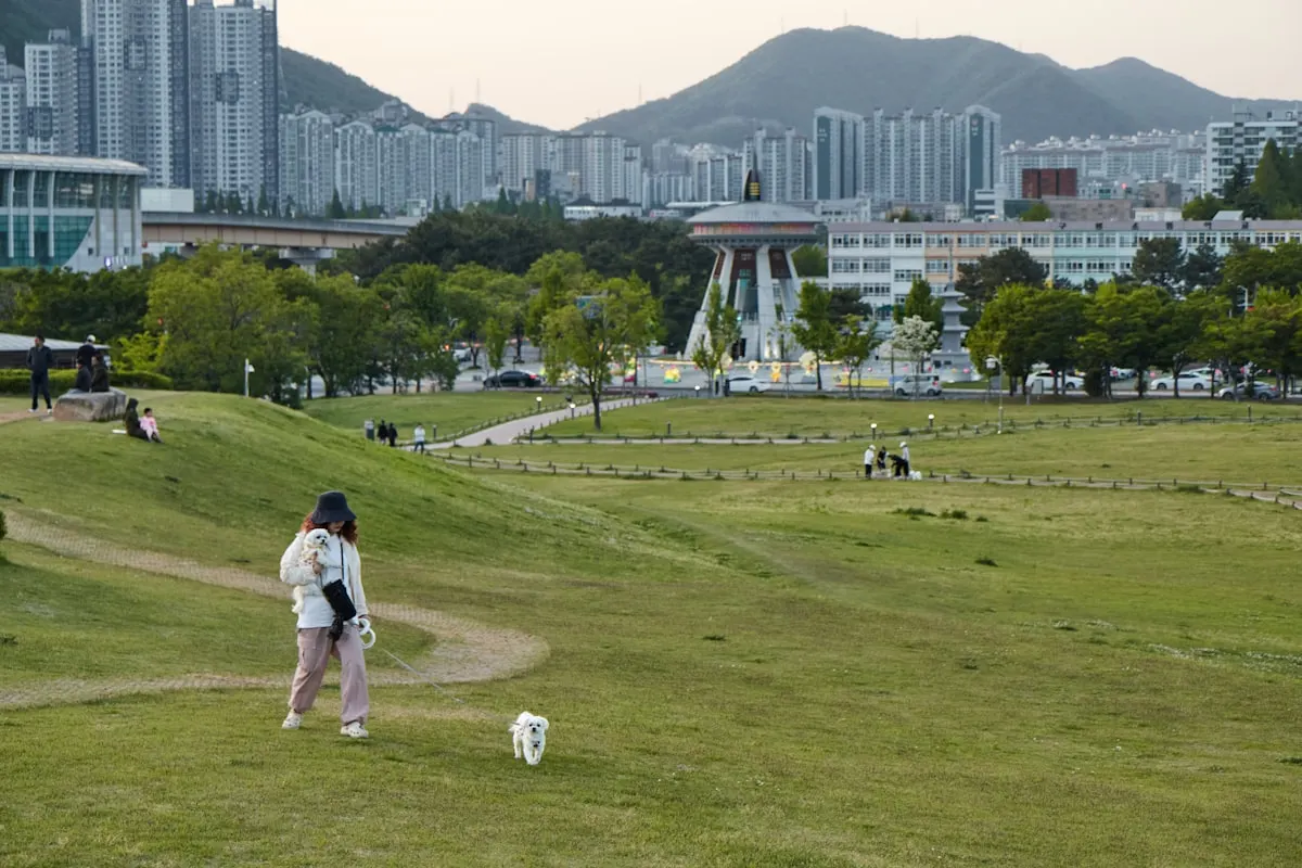KLPGA 오로라월드 챔피언십, 스타플레이어들의 화기애애한 분위기